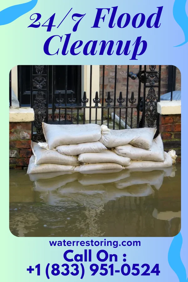 24/7 Flood Cleanup in Chatham, LA