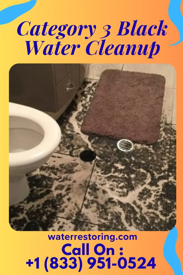 Category 3 Black Water Cleanup in Chatham, LA