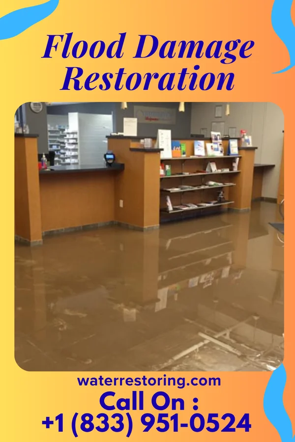 Flood Damage Restoration in Chatham, LA