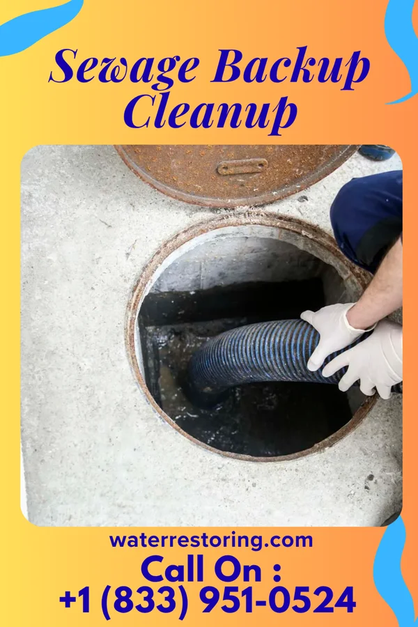 Sewage Backup Cleanup in Chatham, LA